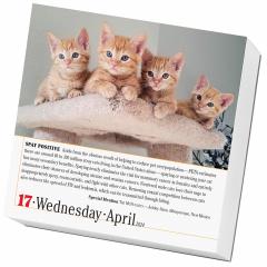 Calendar - 365 Cats - 2024