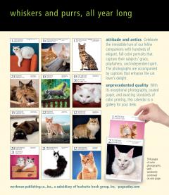 Cat Page-A-Day Gallery Calendar 2024