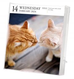 Cat Page-A-Day Gallery Calendar 2024