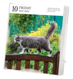 Cat Page-A-Day Gallery Calendar 2024