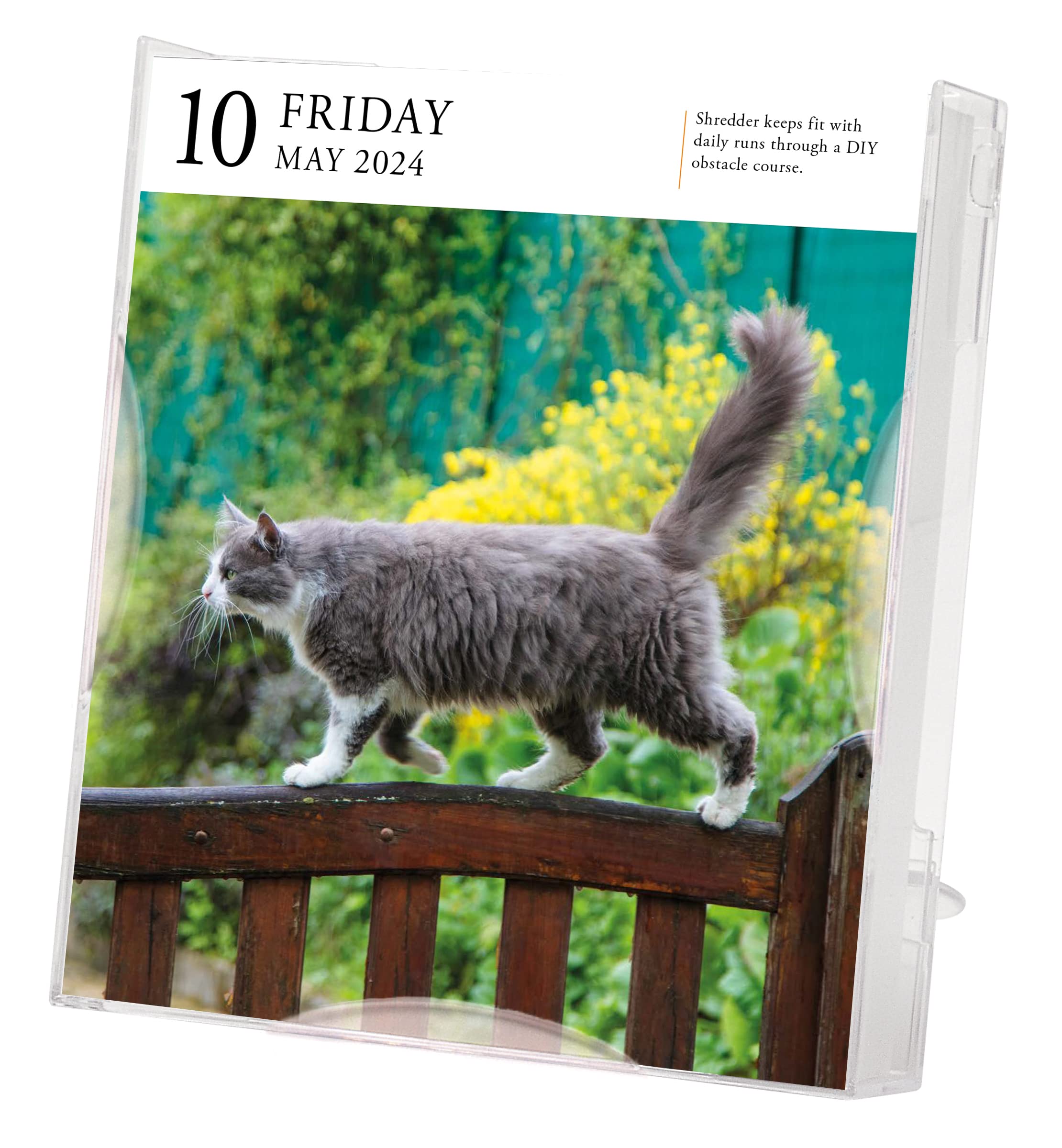 read-workman-calendars-s-book-cat-page-a-day-gallery-calendar-2020-published-by-workman