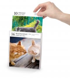 Cat Page-A-Day Gallery Calendar 2024