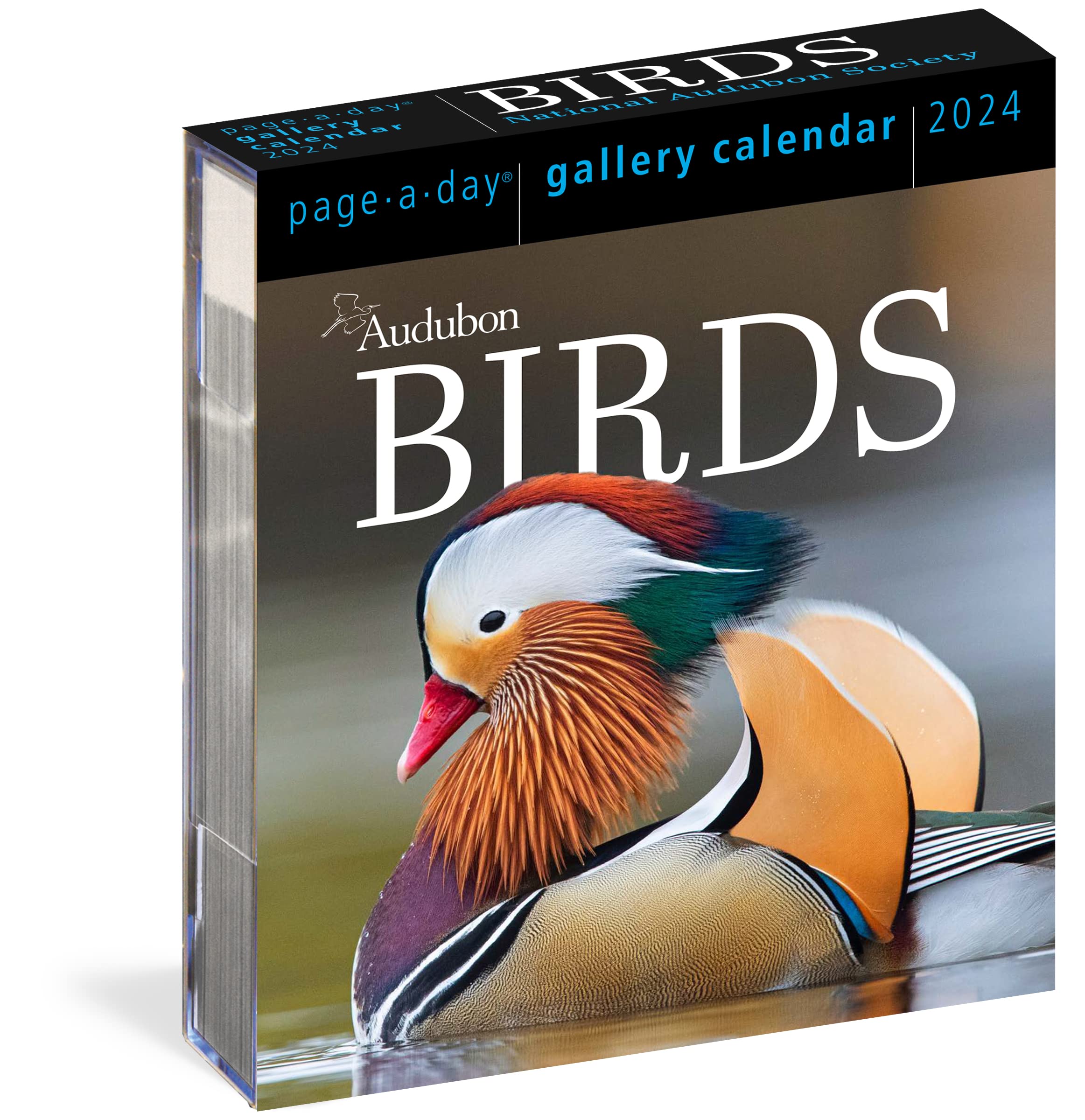 Calendar Audubon Birds 2024 Workman Publishing Company