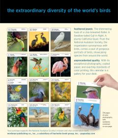 Calendar - Audubon Birds - 2024