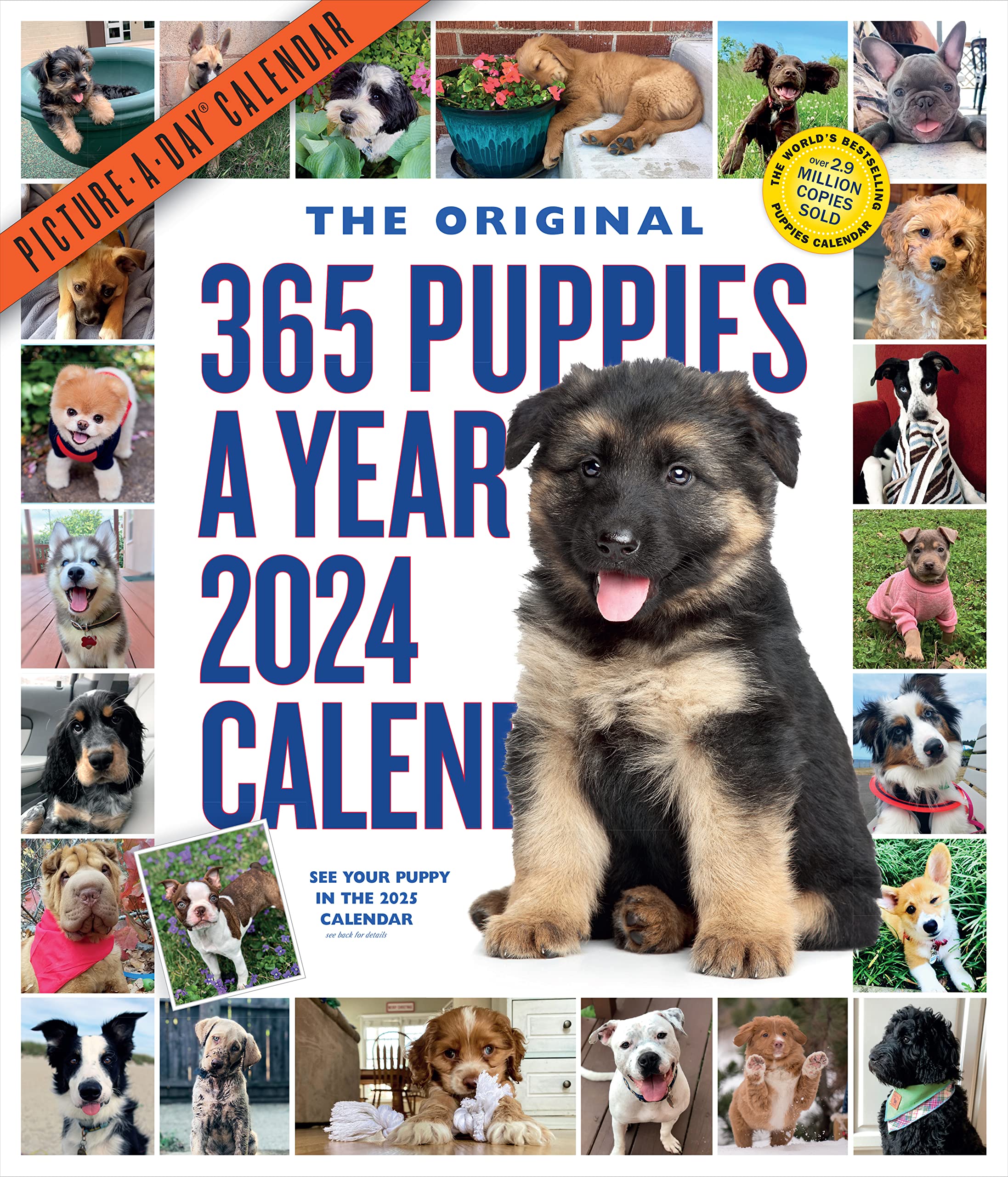 365 PuppiesAYear PictureADay Wall Calendar 2024