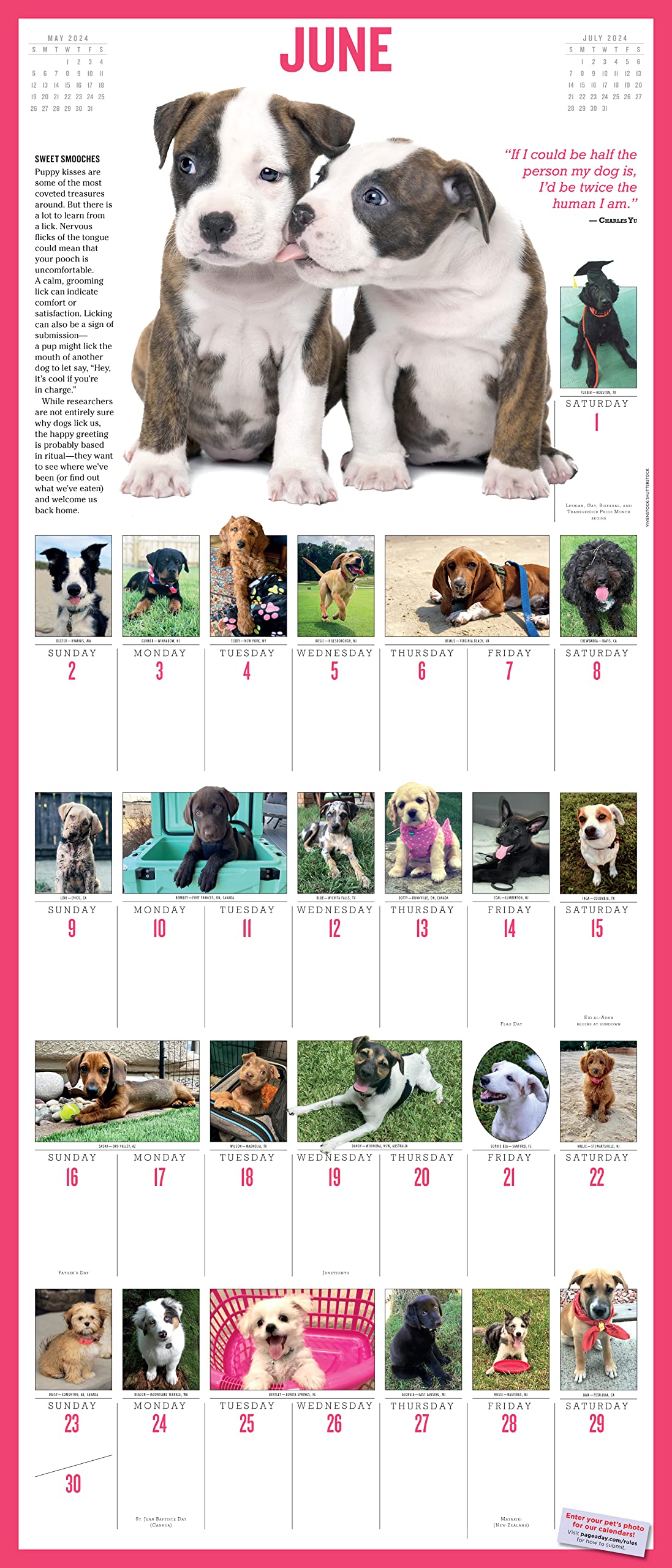 365 PuppiesAYear PictureADay Wall Calendar 2024