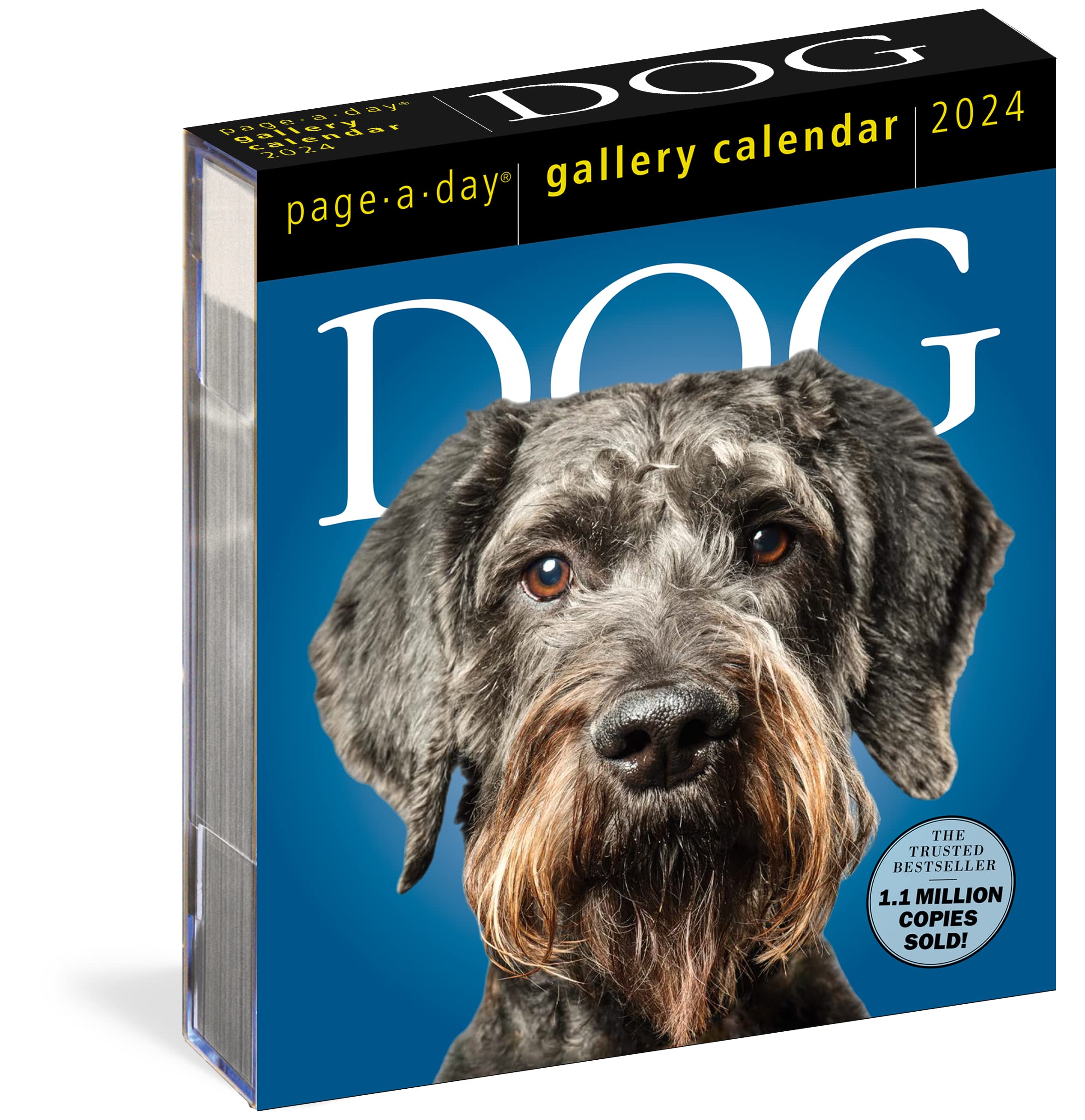 Dog PageADay Gallery Calendar 2024