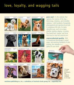 Dog Page-A-Day Gallery Calendar 2024