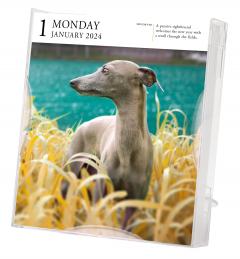 Dog Page-A-Day Gallery Calendar 2024