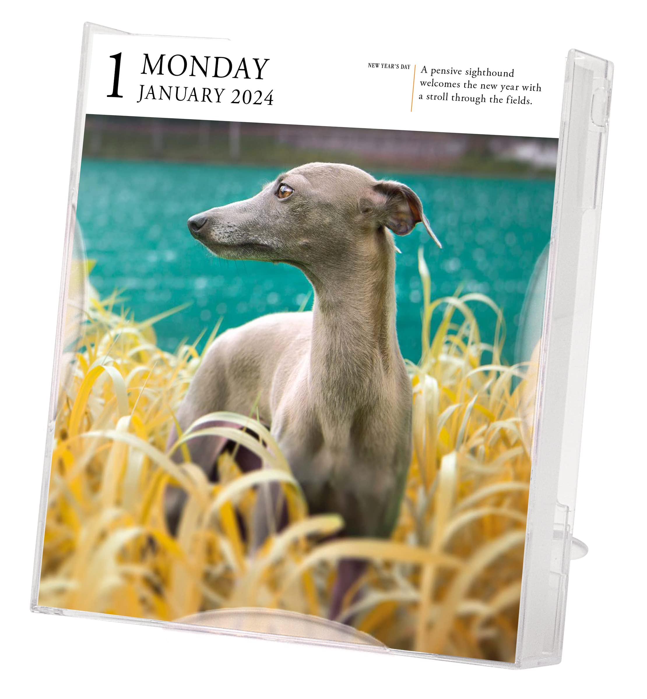 Dog PageADay Gallery Calendar 2024