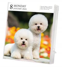 Dog Page-A-Day Gallery Calendar 2024