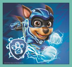 Puzzle 10 in 1 - Echipa Cateilor, 329 piese