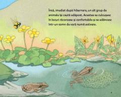 Somnorosii verii - Animale care (hiberneaza) estiveaza