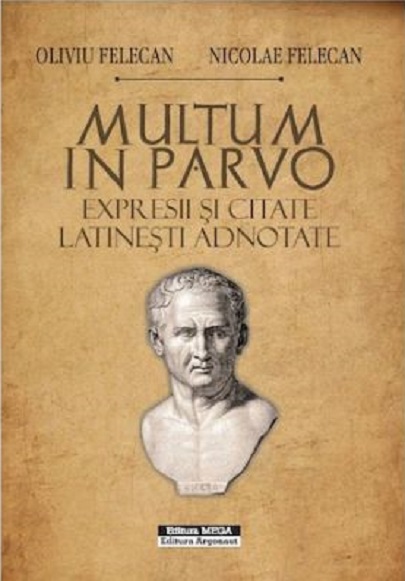 Multum Multum in Parvo - Oliviu Felecan, Nicolae Felecan