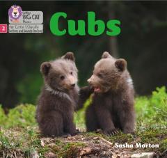 Coperta cărții Cubs
