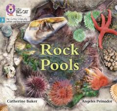 Rock Pools