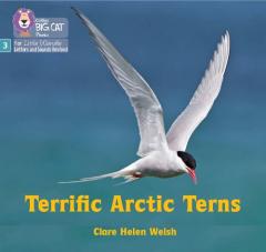 Coperta cărții Terrific Arctic Terns