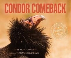 Coperta cărții Condor Comeback