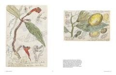 Botanical Sketchbooks