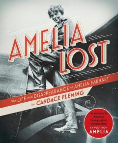 Coperta cărții Amelia Lost
