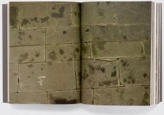 Eating With The Eyes