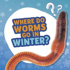WHERE DO WORMS GO IN WINTER