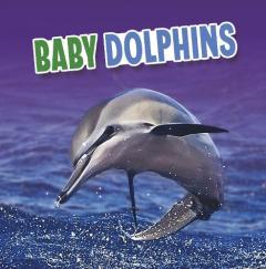 BABY DOLPHINS