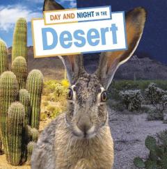 Coperta cărții Day and Night in the Desert