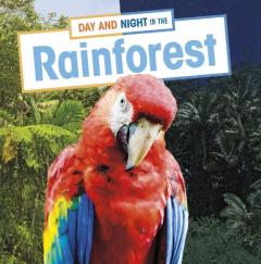 Coperta cărții Day and Night in the Rainforest