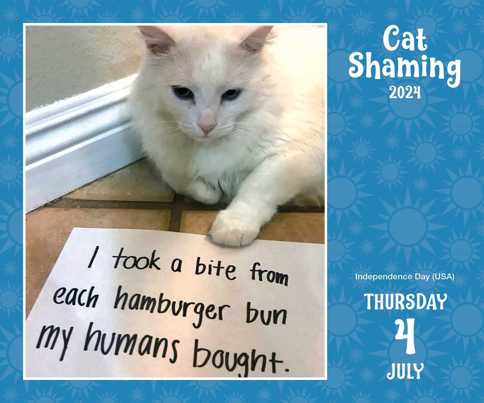 Calendar 2024 Cat Shaming Andrews McMeel Publishing