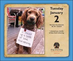 Calendar 2024 - Dog Shaming