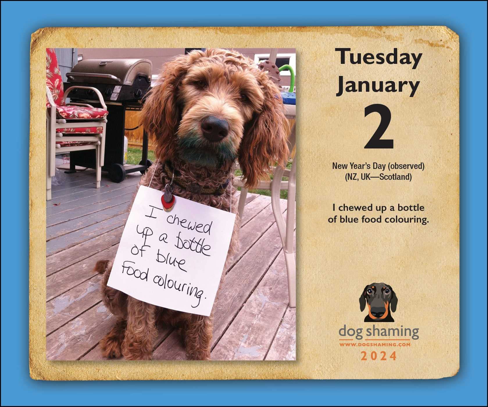 Calendar 2024 Dog Shaming Andrews McMeel Publishing