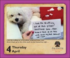 Calendar 2024 - Dog Shaming