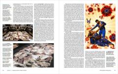The History of Asian Art