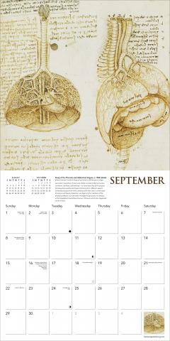 Calendar 2024 - Leonardo Da Vinci