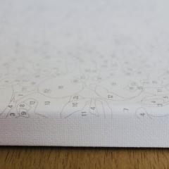 Set pictura pe numere - Vaza cu flori