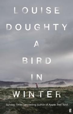 Coperta cărții Bird in Winter