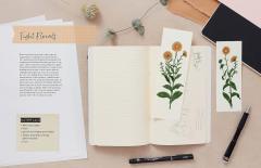 Drawing for the Soul