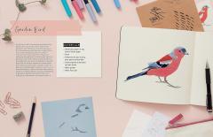 Drawing for the Soul