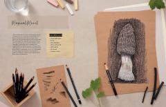 Drawing for the Soul