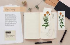 Drawing for the Soul