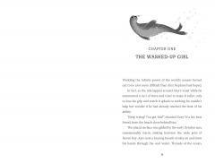 Alex Neptune: Pirate Hunter