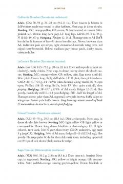 Baby Bird Identification