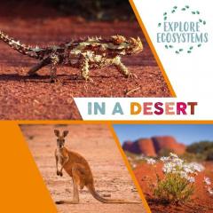 EXPLORE ECOSYSTEMS IN A DESERT