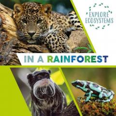 EXPLORE ECOSYSTEMS IN A RAINFOREST