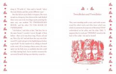 Through the Looking-glass and What Alice Found There