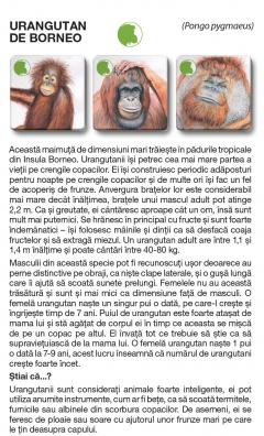 Joc - Memotrio - Familii de animale