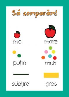 Cartea mea de activitati 2-3 ani