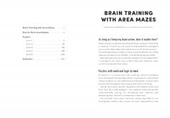 The Big Puzzle Book of Area Mazes