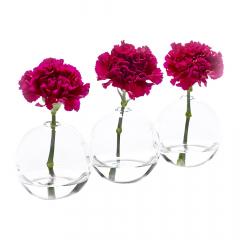 Vaza - Rene Barba - Caterpillar 